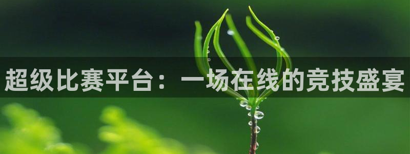 24直播网nba直播：超级比赛平台：一场在线的竞技盛宴