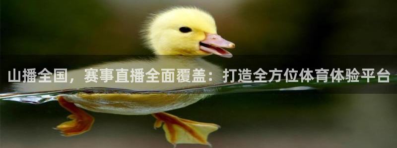 24直播网足球直播网：山播全国，赛事直播全面覆盖：打造全方位体育体验平台