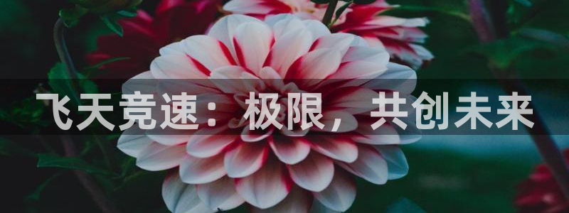 乐球直播24直播网：飞天竞速：极限，共创未来