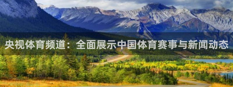 nba直播在线观看24直播网：央视体育频道：全面展示中国体育赛事与新闻动态