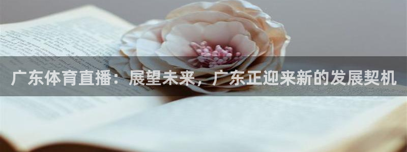 24直播网源码：广东体育直播：展望未来，广东正迎来新的发展契机