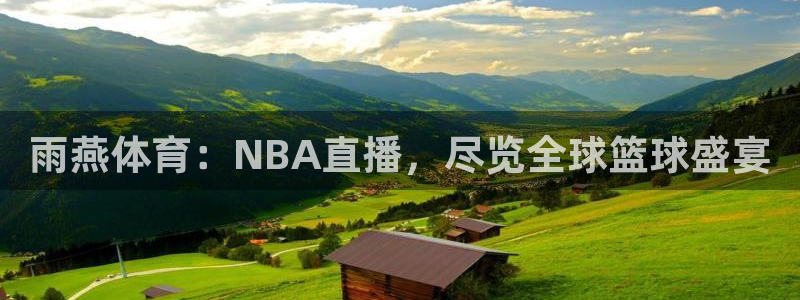 24直播网源码：雨燕体育：NBA直播，尽览全球篮球盛宴