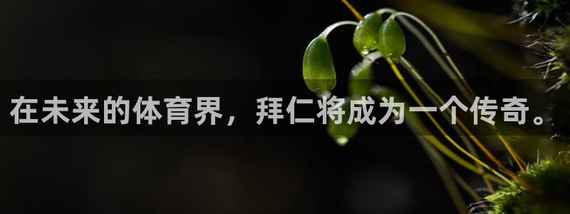 nba直播免费高清直播24直播网：在未来的体育界，拜仁将成为一个传奇。