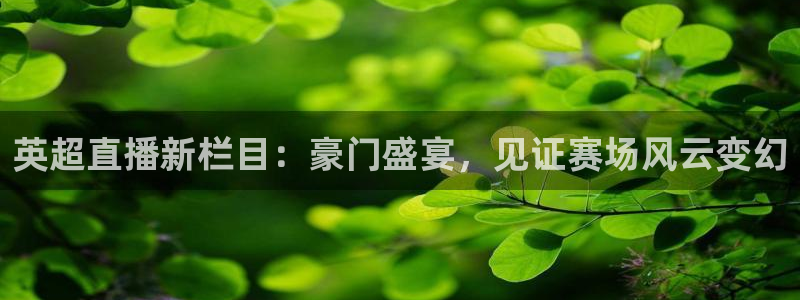 24直播网足球在线：英超直播新栏目：豪门盛宴，见证赛场风云变幻
