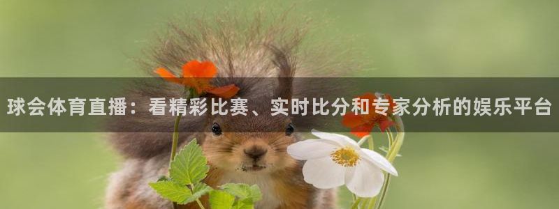 24直播网页版：球会体育直播：看精彩比赛、实时比分和专家分析的娱乐平台