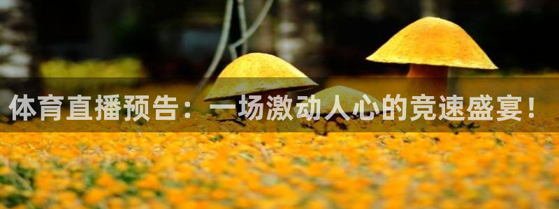 足球直播24直播网在线：体育直播预告：一场激动人心的竞速盛宴！
