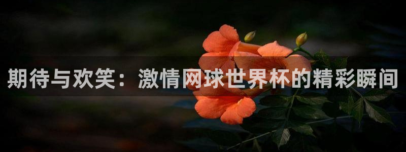 nba直播24直播网：期待与欢笑：激情网球世界杯的精彩瞬间